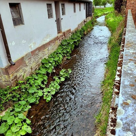 Ferienwohnung Zum Sollingtor Dassel المظهر الخارجي الصورة