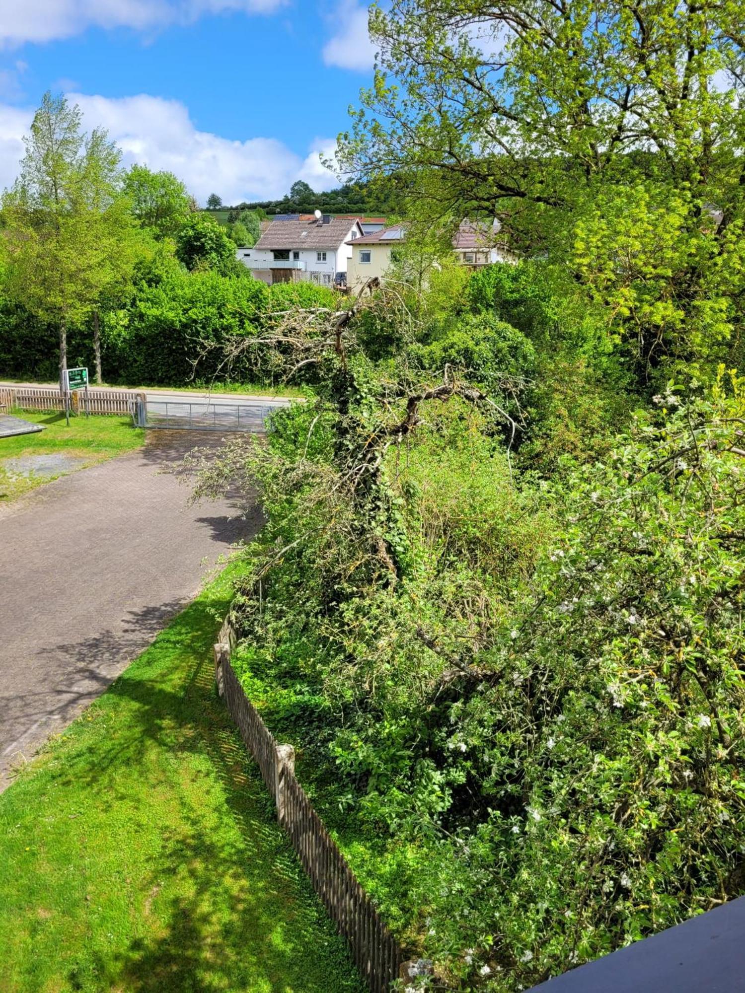 Ferienwohnung Zum Sollingtor Dassel المظهر الخارجي الصورة
